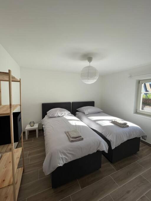 Doux Refuge Avec Terrasse Parking Gratuit * Beblenheim